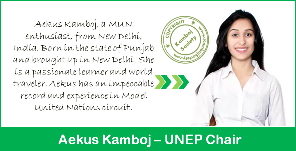 Aekus Kamboj - UNEP Chair