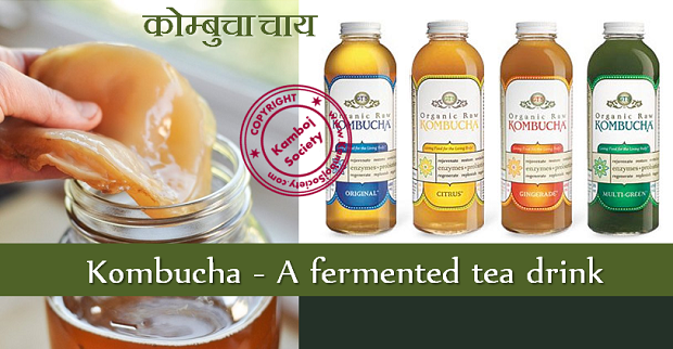 Kombucha - A fermented tea drink