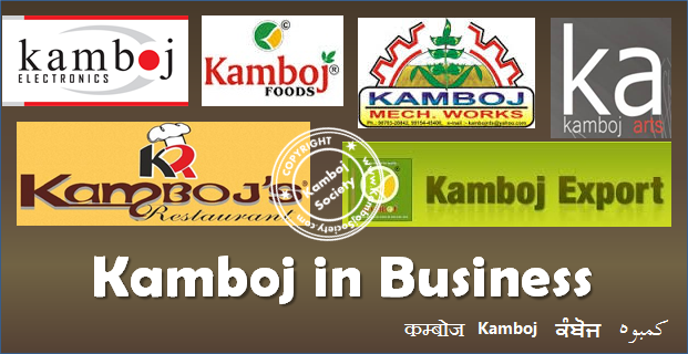 Kamboj in Business